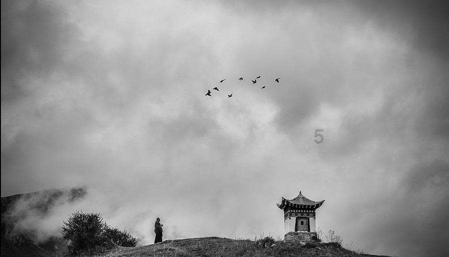 了解如何与母亲更好相处？社区，分享热点话题